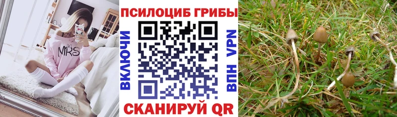 Галлюциногенные грибы ЛСД  Лакинск 